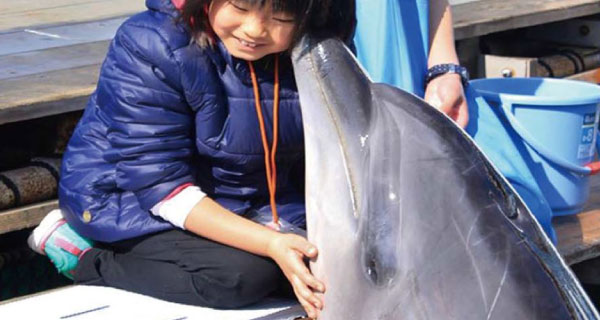 わくわく海中水族館シードーナツ<